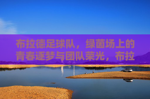 布拉德足球队，绿茵场上的青春逐梦与团队荣光，布拉德足球队，绿茵场上的青春逐梦与团队荣光