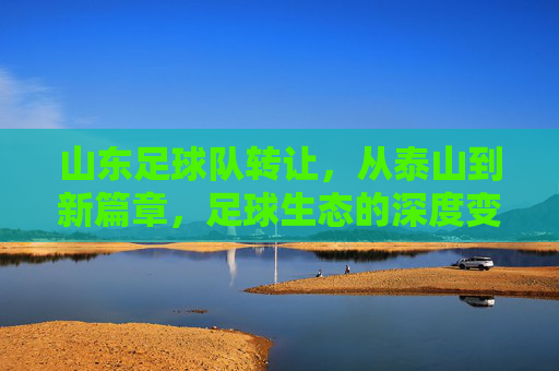 山东足球队转让，从泰山到新篇章，足球生态的深度变革与未来展望，山东足球队转让，从泰山到新篇章，足球生态的深度变革与未来展望