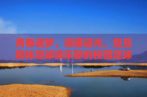 青春逐梦，绿茵逐光，复旦奥林足球俱乐部的校园足球新篇章，青春逐梦，绿茵逐光，复旦奥林足球俱乐部的校园足球新篇章