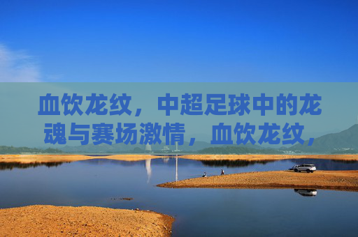 血饮龙纹，中超足球中的龙魂与赛场激情，血饮龙纹，中超足球中的龙魂与赛场激情