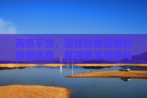雨燕平台，足球在线直播的智能选择，解锁赛事激情与高清视觉盛宴，雨燕平台，足球在线直播的智能选择，解锁赛事激情与高清视觉盛宴