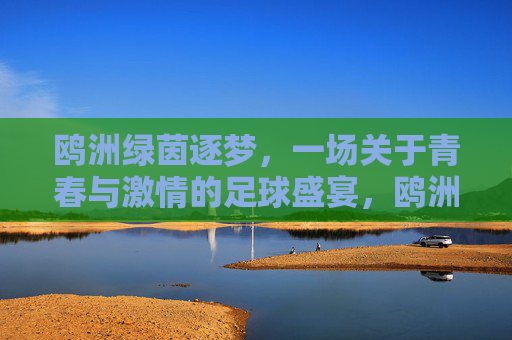 鸥洲绿茵逐梦，一场关于青春与激情的足球盛宴，鸥洲绿茵逐梦，一场关于青春与激情的足球盛宴