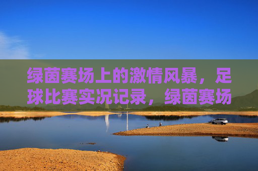 绿茵赛场上的激情风暴,足球比赛实况记录,绿茵赛场上的激情风暴,足球比赛实况记录