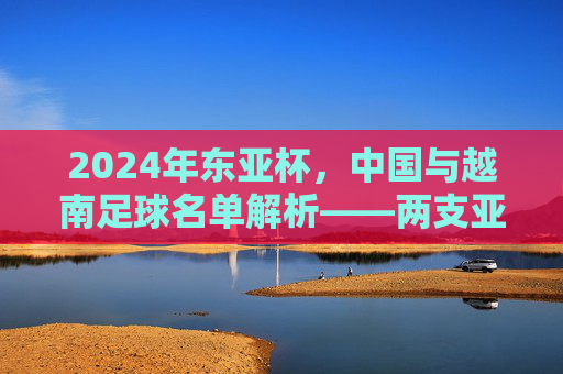 2024年东亚杯,中国与越南足球名单解析——两支亚洲足球劲旅的阵容特点与战术布局,2024年东亚杯中国与越南足球名单解析,阵容特点与战术布局分析