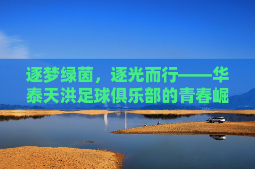 逐梦绿茵,逐光而行——华泰天洪足球俱乐部的青春崛起与时代答卷,逐梦绿茵,逐光而行——华泰天洪足球俱乐部的青春崛起与时代答卷