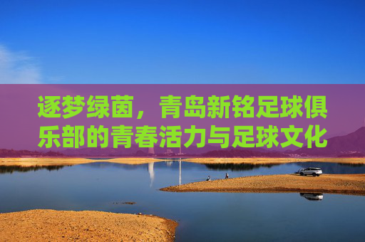 逐梦绿茵，青岛新铭足球俱乐部的青春活力与足球文化传承，逐梦绿茵，青岛新铭足球俱乐部的青春活力与足球文化传承