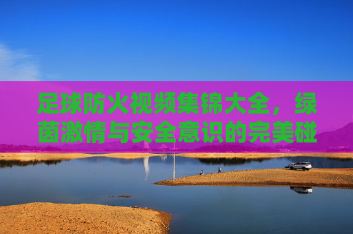 足球防火视频集锦大全,绿茵激情与安全意识的完美碰撞,足球防火视频集锦大全,绿茵激情与安全意识的完美碰撞