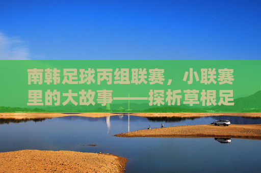 南韩足球丙组联赛,小联赛里的大故事——探析草根足球的活力与职业生态的微观图景,南韩足球丙组联赛,小联赛里的大故事——探析草根足球的活力与职业生态的微观图景