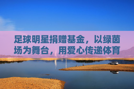 足球明星捐赠基金,以绿茵场为舞台,用爱心传递体育精神与社会温度,足球明星捐赠基金,以绿茵场为舞台,用爱心传递体育精神与社会温度