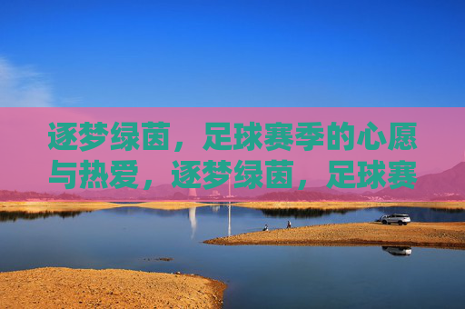 逐梦绿茵，足球赛季的心愿与热爱，逐梦绿茵，足球赛季的心愿与热爱