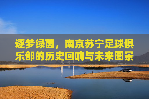 逐梦绿茵，南京苏宁足球俱乐部的历史回响与未来图景，逐梦绿茵，南京苏宁足球俱乐部的历史回响与未来图景
