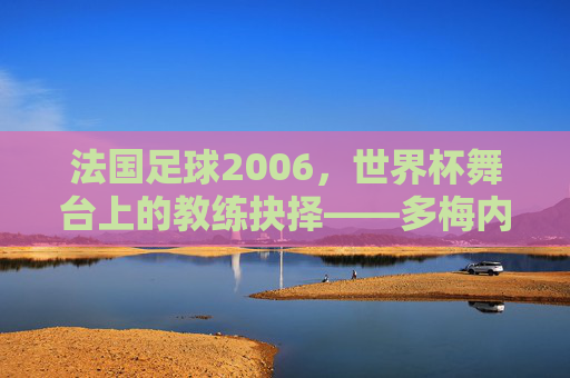 法国足球2006,世界杯舞台上的教练抉择——多梅内克与法国队的辉煌与转折,法国足球2006,世界杯舞台上的教练抉择——多梅内克与法国队的辉煌与转折