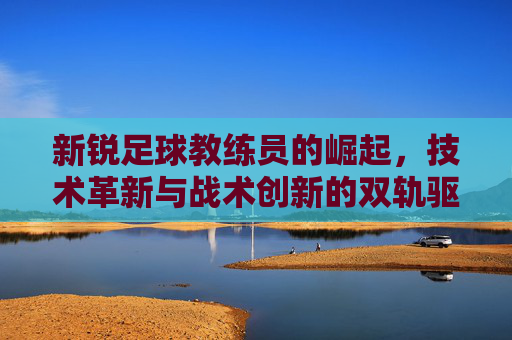 新锐足球教练员的崛起,技术革新与战术创新的双轨驱动,新锐足球教练员的崛起,技术革新与战术创新的双轨驱动