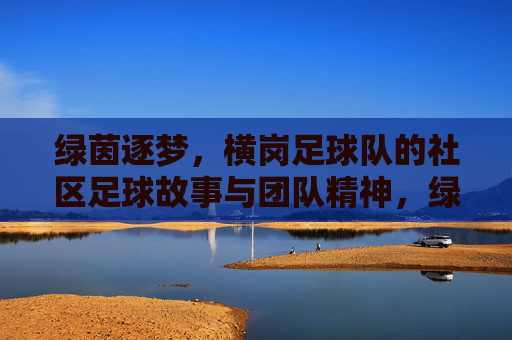 绿茵逐梦，横岗足球队的社区足球故事与团队精神，绿茵逐梦，横岗足球队的社区足球故事与团队精神
