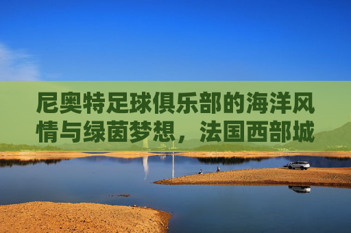 尼奥特足球俱乐部的海洋风情与绿茵梦想,法国西部城市里的足球脉搏与传承,尼奥特足球俱乐部的海洋风情与绿茵梦想,法国西部城市里的足球脉搏与传承