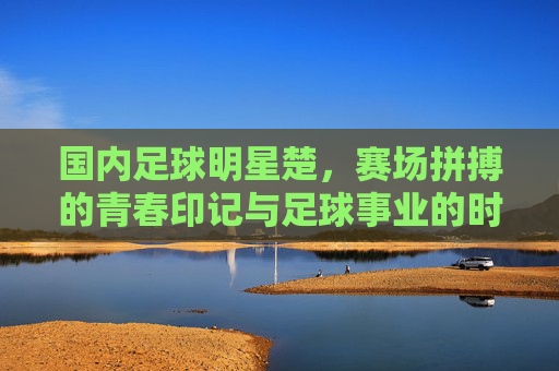 国内足球明星楚,赛场拼搏的青春印记与足球事业的时代贡献,国内足球明星楚,赛场拼搏的青春印记与足球事业的时代贡献