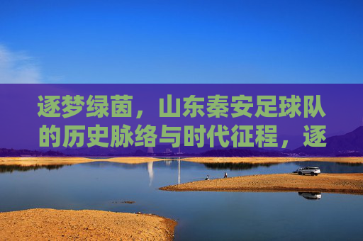 逐梦绿茵，山东秦安足球队的历史脉络与时代征程，逐梦绿茵，山东秦安足球队的历史脉络与时代征程