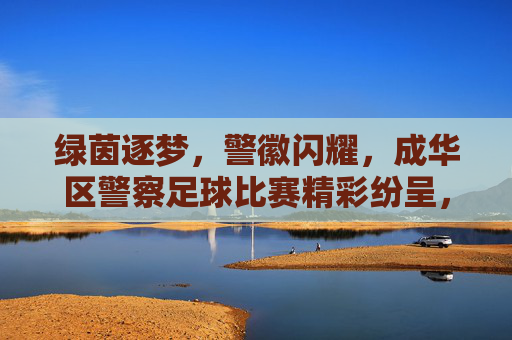 绿茵逐梦，警徽闪耀，成华区警察足球比赛精彩纷呈，绿茵逐梦，警徽闪耀，成华区警察足球比赛精彩纷呈