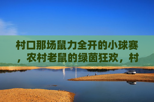 村口那场鼠力全开的小球赛,农村老鼠的绿茵狂欢,村口那场鼠力全开的小球赛,农村老鼠的绿茵狂欢