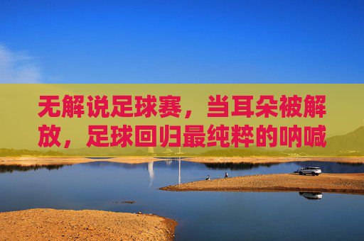 无解说足球赛，当耳朵被解放，足球回归最纯粹的呐喊，无解说足球赛，当耳朵被解放，足球回归最纯粹的呐喊