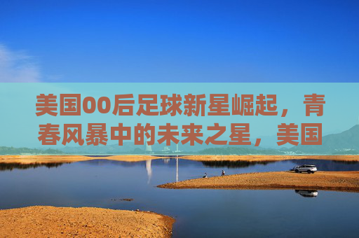 美国00后足球新星崛起，青春风暴中的未来之星，美国00后足球新星崛起，青春风暴中的未来之星