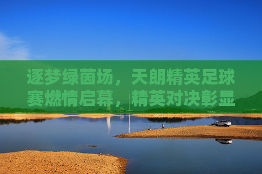 逐梦绿茵场，天朗精英足球赛燃情启幕，精英对决彰显足球魅力与青春活力，逐梦绿茵场，天朗精英足球赛燃情启幕，精英对决彰显足球魅力与青春活力