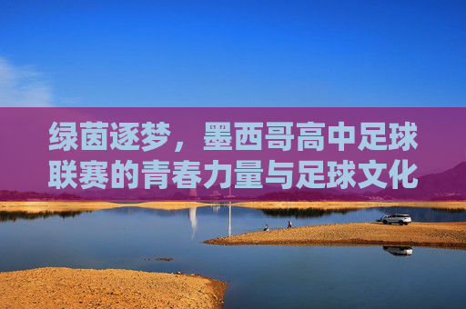 绿茵逐梦,墨西哥高中足球联赛的青春力量与足球文化传承,绿茵逐梦,墨西哥高中足球联赛的青春力量与足球文化传承