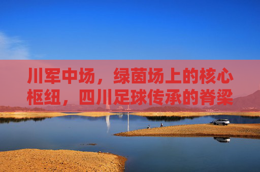 川军中场,绿茵场上的核心枢纽,四川足球传承的脊梁,川军中场,绿茵场上的核心枢纽,四川足球传承的脊梁