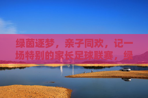 绿茵逐梦，亲子同欢，记一场特别的家长足球联赛，绿茵逐梦，亲子同欢，记一场特别的家长足球联赛