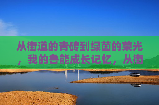 从街道的青砖到绿茵的荣光,我的鲁能成长记忆,从街道的青砖到绿茵的荣光,我的鲁能成长记忆