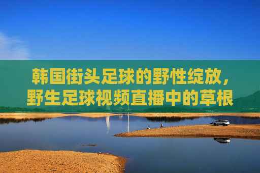 韩国街头足球的野性绽放，野生足球视频直播中的草根热血与不羁，韩国街头足球的野性绽放，野生足球视频直播中的草根热血与不羁