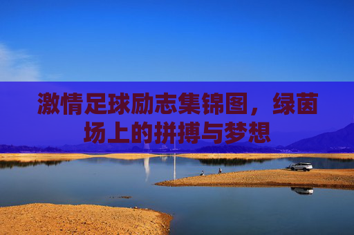 激情足球励志集锦图,绿茵场上的拼搏与梦想