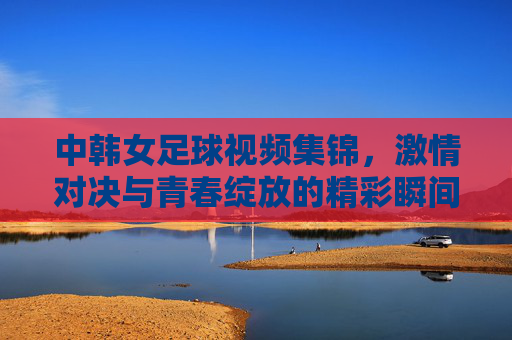中韩女足球视频集锦，激情对决与青春绽放的精彩瞬间