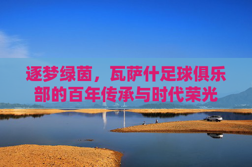逐梦绿茵,瓦萨什足球俱乐部的百年传承与时代荣光