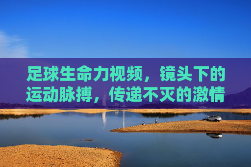 足球生命力视频,镜头下的运动脉搏,传递不灭的激情