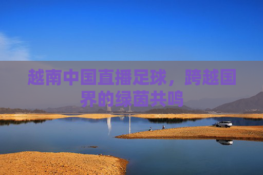 越南中国直播足球，跨越国界的绿茵共鸣