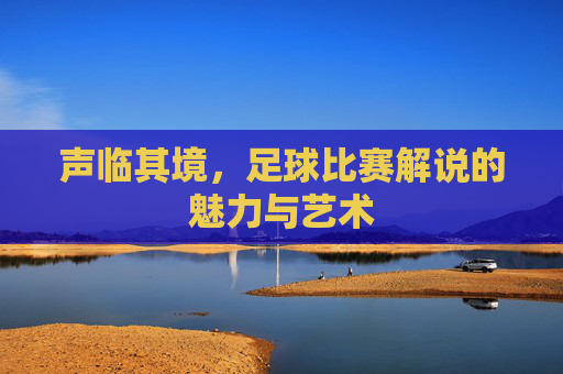 声临其境,足球比赛解说的魅力与艺术