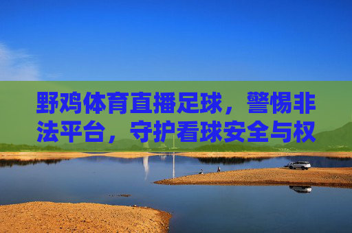 野鸡体育直播足球，警惕非法平台，守护看球安全与权益