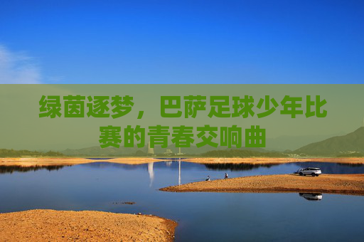 绿茵逐梦,巴萨足球少年比赛的青春交响曲