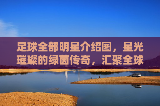 足球全部明星介绍图,星光璀璨的绿茵传奇,汇聚全球足球史上的顶级球员