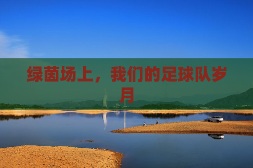 绿茵场上,我们的足球队岁月