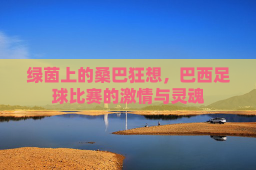 绿茵上的桑巴狂想,巴西足球比赛的激情与灵魂