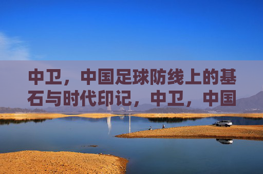 中卫,中国足球防线上的基石与时代印记,中卫,中国足球防线上的基石与时代印记
