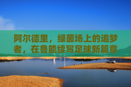 阿尔德里,绿茵场上的追梦者,在鲁能续写足球新篇章