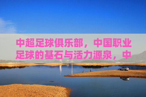 中超足球俱乐部,中国职业足球的基石与活力源泉,中超足球俱乐部,中国职业足球的基石与活力源泉