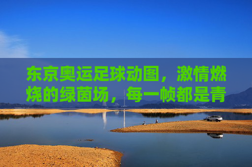 东京奥运足球动图,激情燃烧的绿茵场,每一帧都是青春与梦想的碰撞