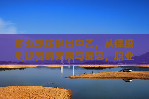 职业足球退出中乙,从保级到退赛的无奈与反思,职业足球退出中乙,从保级到退赛的无奈与反思