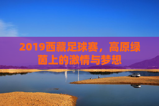 2019西藏足球赛，高原绿茵上的激情与梦想