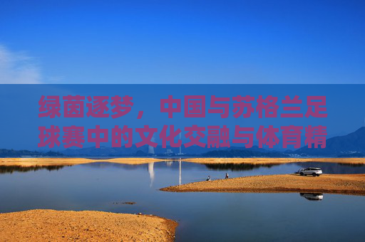 绿茵逐梦,中国与苏格兰足球赛中的文化交融与体育精神