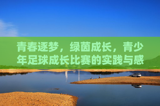 青春逐梦，绿茵成长，青少年足球成长比赛的实践与感悟，青春逐梦，绿茵成长，青少年足球成长比赛的实践与感悟